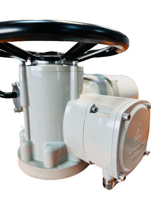380V AC Multi Turn Electric Valve Actuator 900NM IP67 Customized