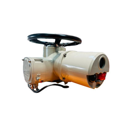 0.75 KW Electric Multi Turn Actuator Intelligent Explosion Proof 300NM IP67