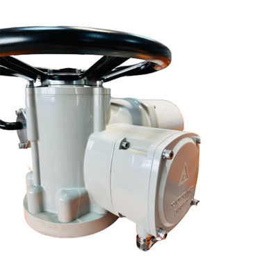 0.75 KW Electric Multi Turn Actuator Intelligent Explosion Proof 300NM IP67